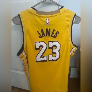 Lebron James Lakers Lore Series